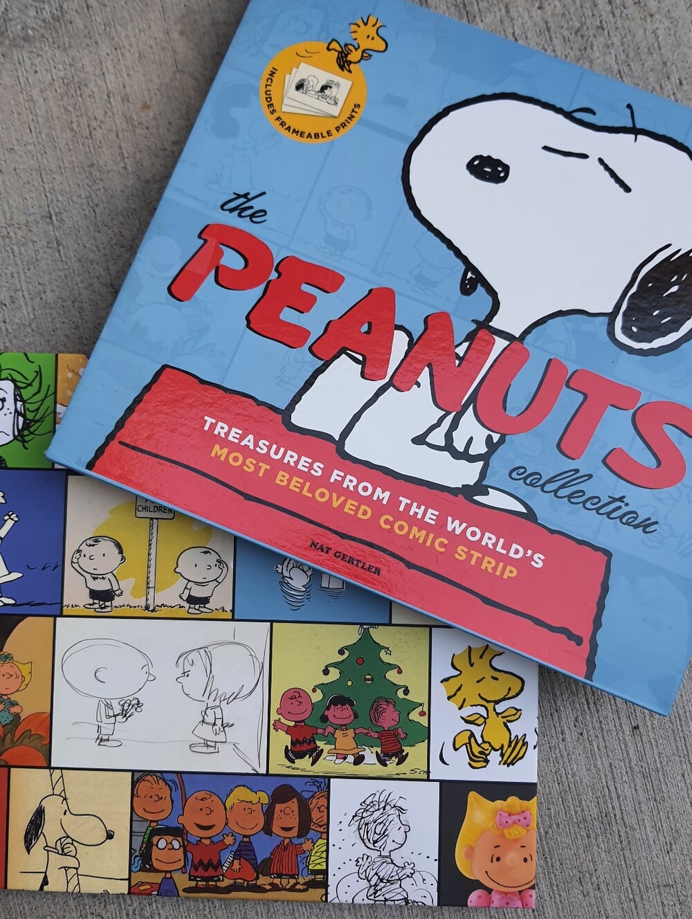 THE PEANUTS COLLECTION BOOK 2010 Hardcover Excellent Condition Snoopy Charlie